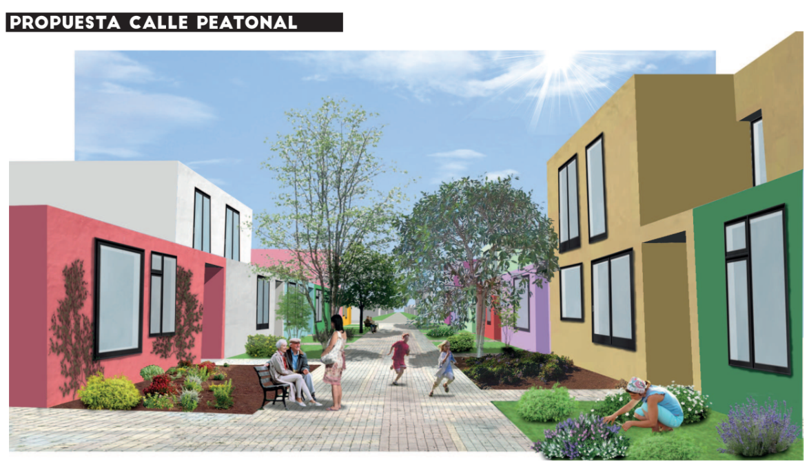 Programa de Participación Ciudadana. Ojos de Garza